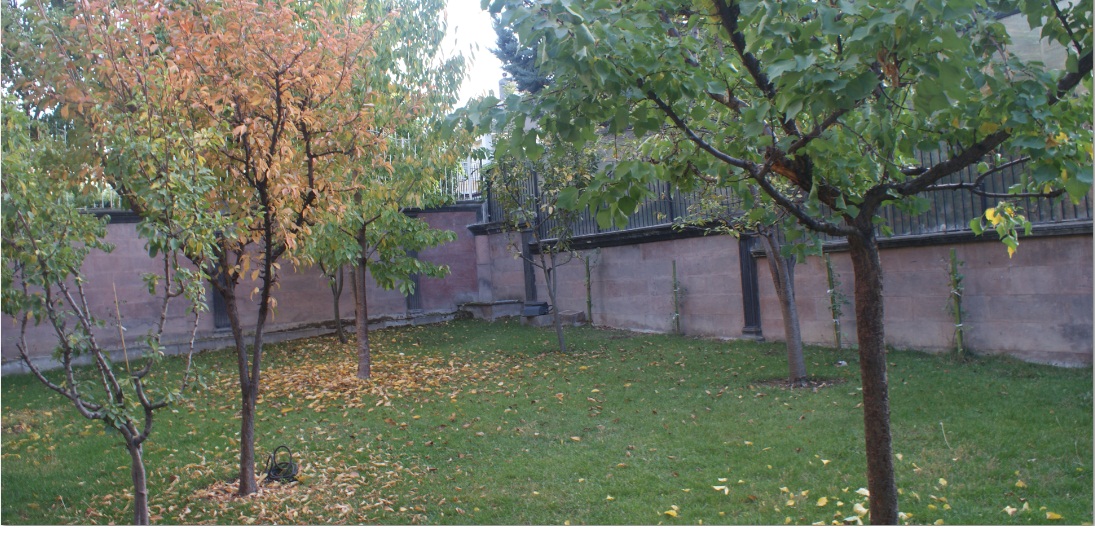 Ankara Ramel Sanat — Gitar kursu ankara 13